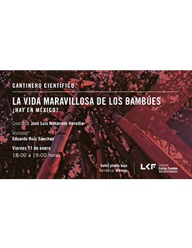 Cartel informativo sobre Cantinero científico: La vida maravillosa de los bambúes ¿Hay en México?, el 11 de enero, a las 18:00 h. en el Salón planta baja, Librería Carlos Fuentes