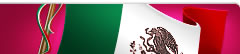 24 de Febrero - Día de la Bandera Ilustración con la Bandera de México