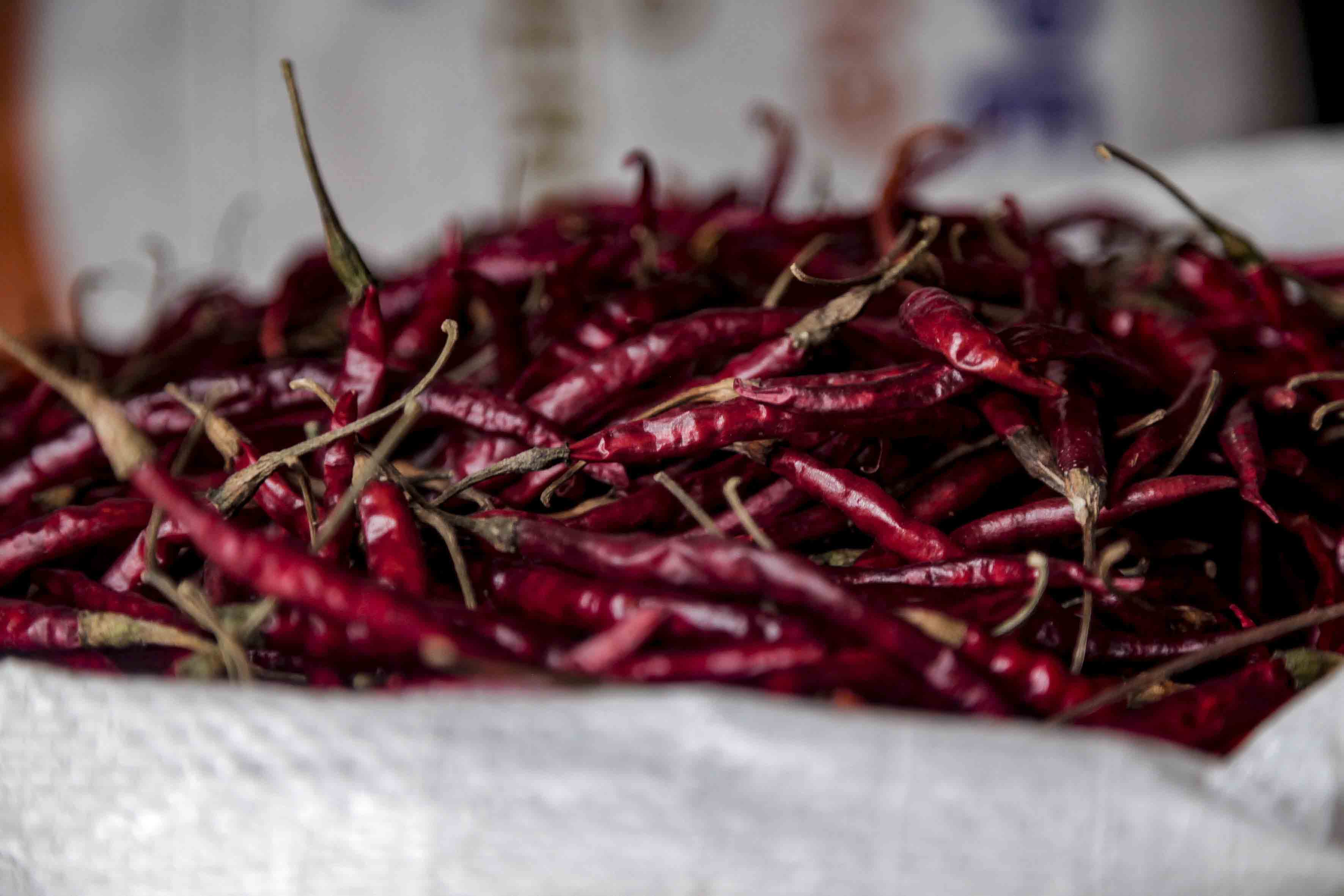 Chile de árbol Yahualica, único en la gastronomía ...