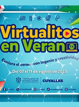 Cartel de Virtualitos en verano Cartel de Virtualitos en verano