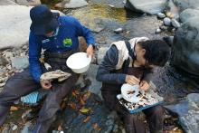 Estudian insectos para el rescate de ríos de la Costa Sur de Jalisco