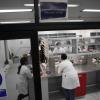 Investigadores de CULagos, trabajando en laboratorio