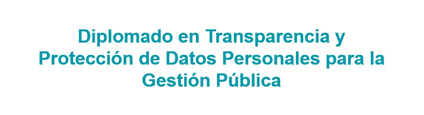 Identidad gráfica para promocionar el Diplomado en Transparencia y Protección de Datos Personales para la Gestión Pública