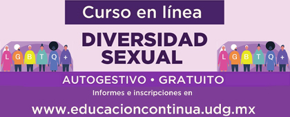 Cartel del Curso en línea: Diversidad sexual