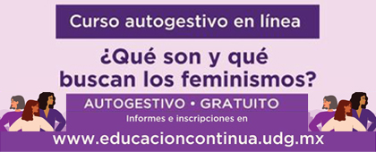 Cartel del Curso en línea: ¿Qué son y qué buscan los feminismos?