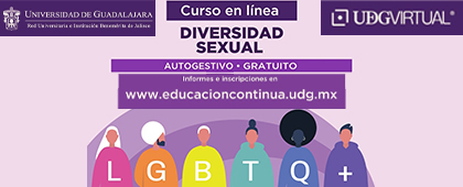 Cartel del Curso en línea: Diversidad sexual