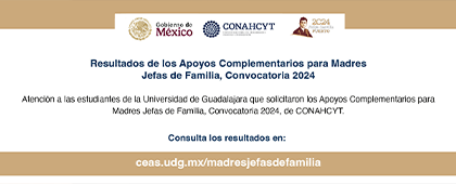 Cartel de los Resultados de los Apoyos Complementarios para Madres Jefas de Familia, Convocatoria 2024, de CONAHCYT