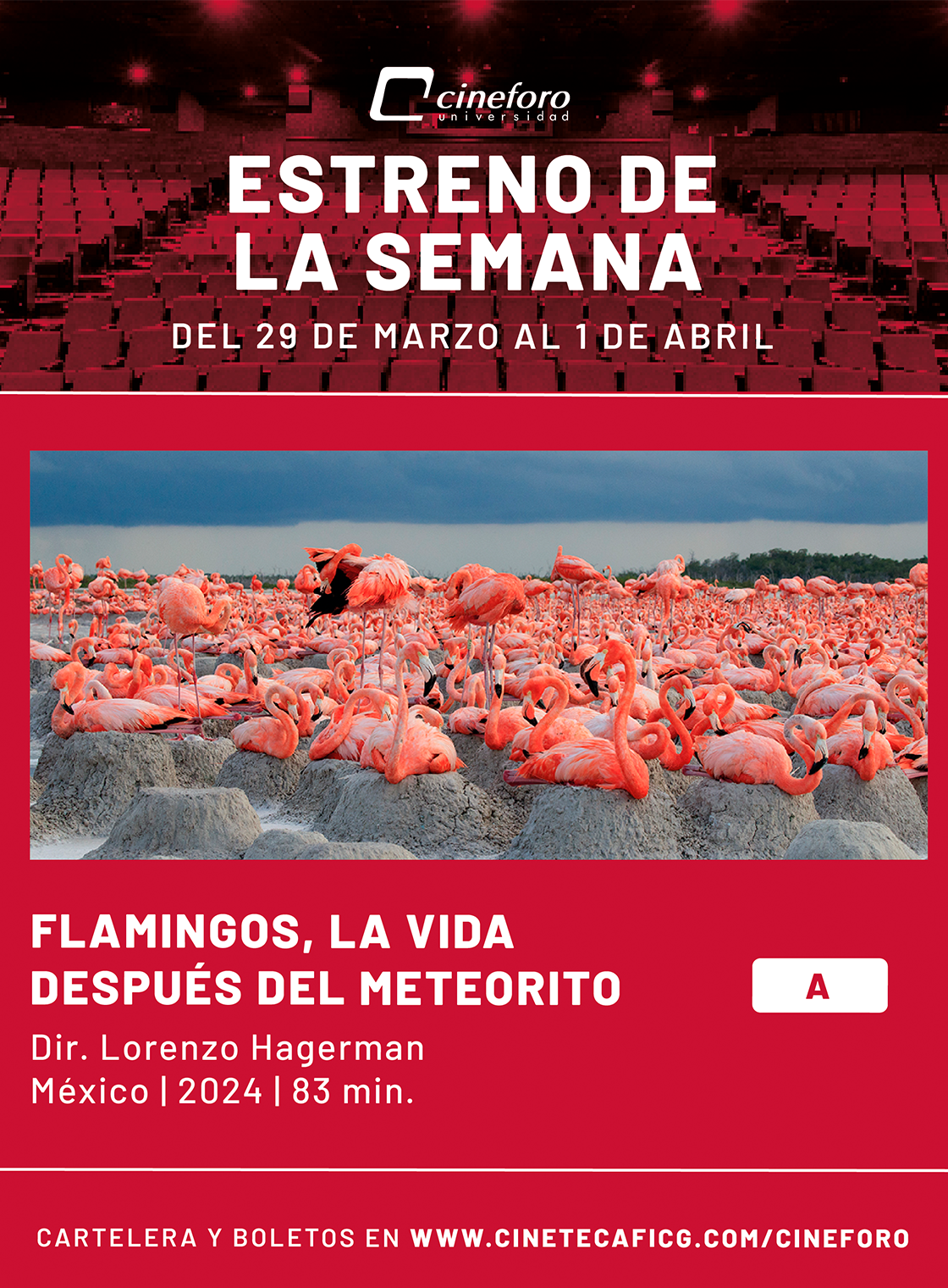 Cartelera del Cineforo Universidad