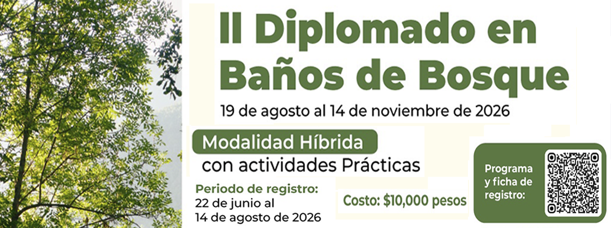 Cartel del II Diplomado en Baños de Bosque