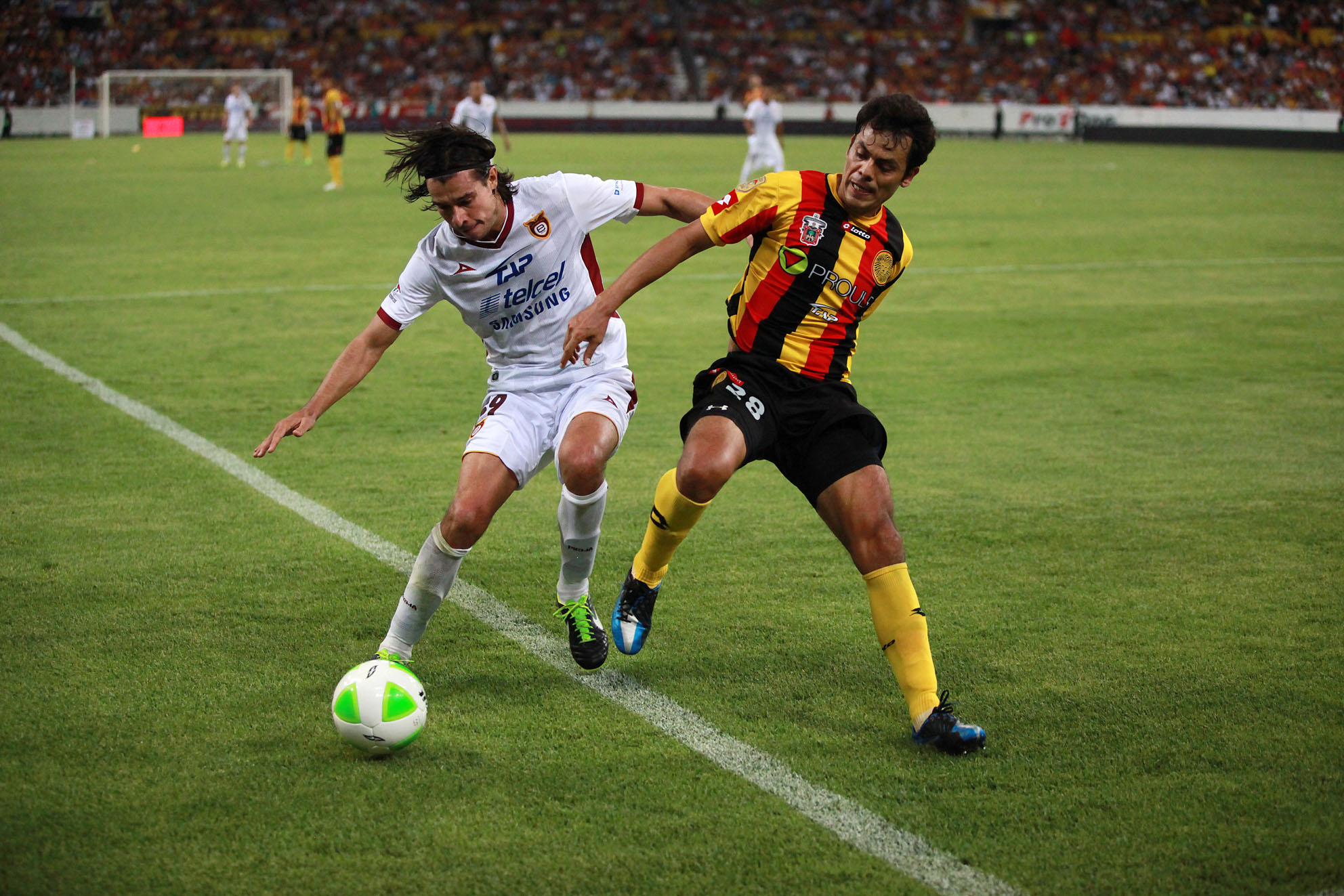 Regresan Leones Negros a la Primera División | Universidad de Guadalajara