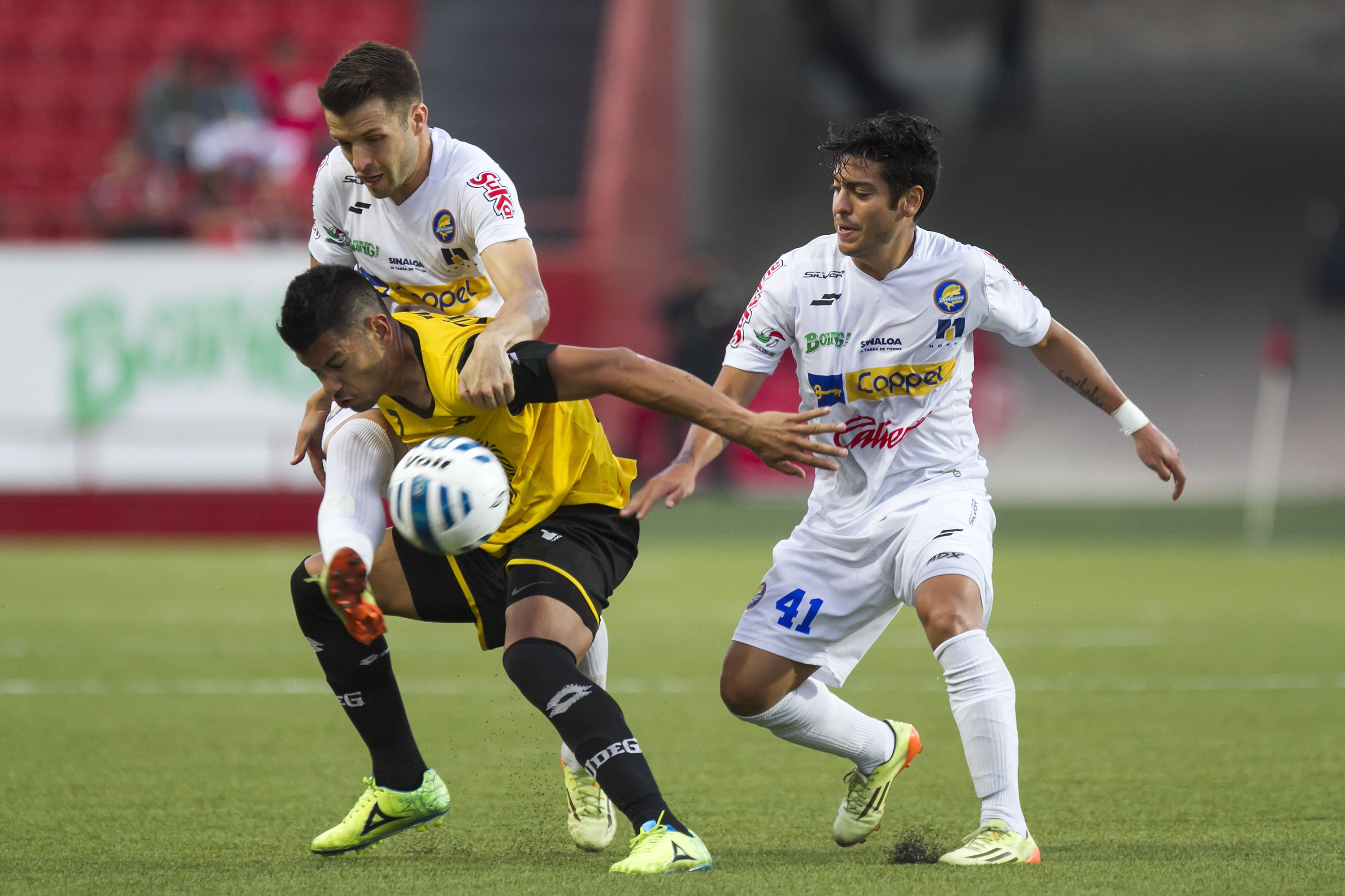 Leones Negros inician con derrota en Copa Tijuana | Universidad de  Guadalajara