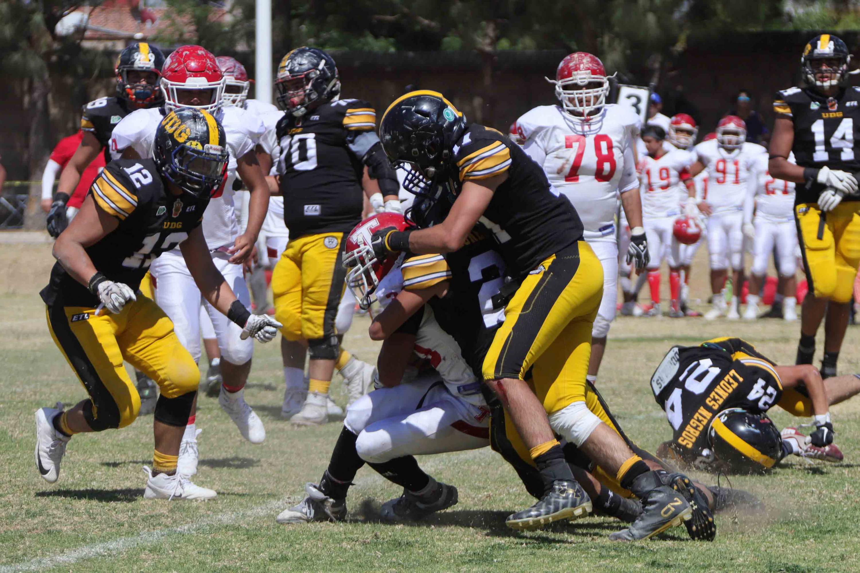 Obtienen Leones Negros subcampeonato en ONEFA | Universidad de Guadalajara