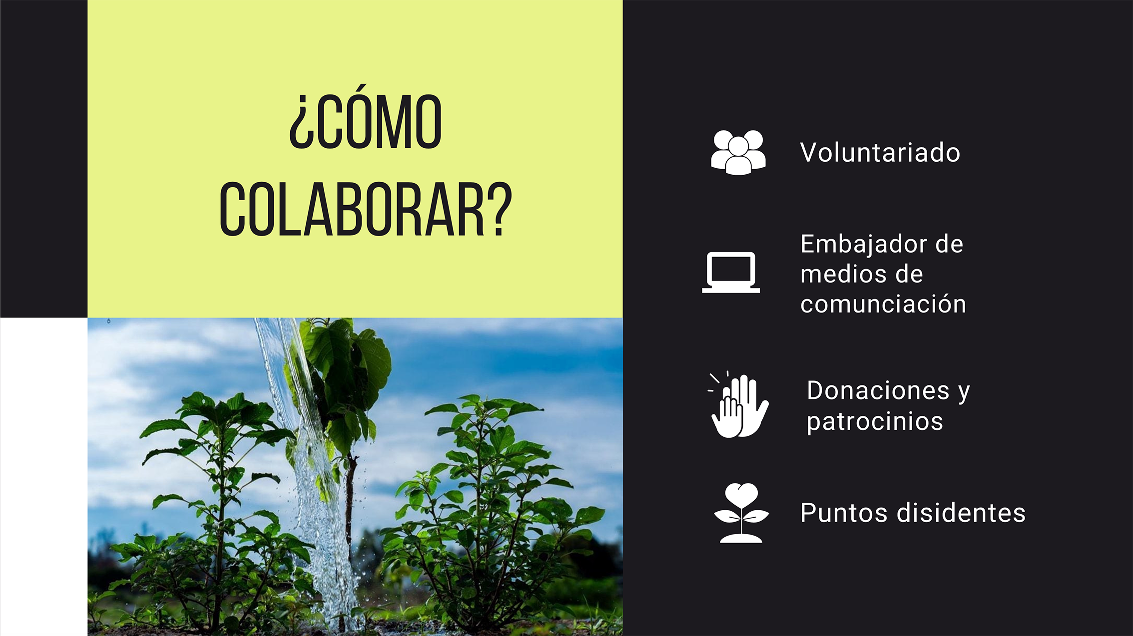 Integran asociación civil con colectivos que defienden el medio ambiente contra el despojo en Jalisco