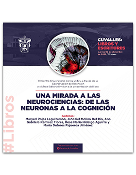 Presentación del libro: Una Mirada a las Neurociencias