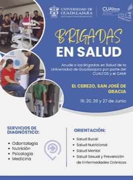 Cartel de las Brigadas en salud