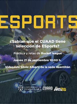 Cartel de la Muestra de ESports