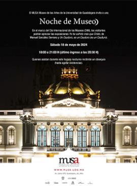 Cartel de la Noche de museo en el MUSA