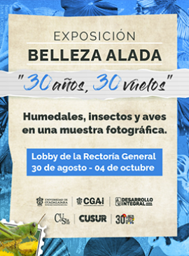 Cartel de la Exposición: Belleza alada "30 años, 30 vuelos" Cartel de la Exposición: Belleza alada "30 años, 30 vuelos"