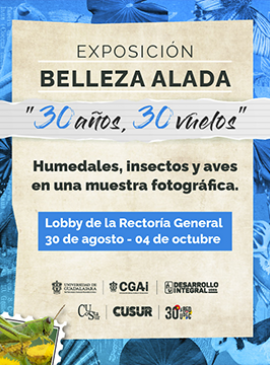 Cartel de la Exposición: Belleza alada "30 años, 30 vuelos"