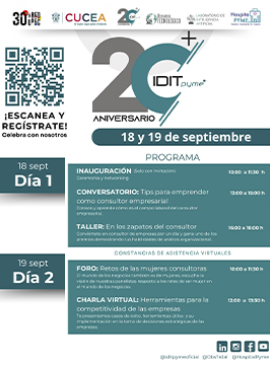 Cartel del 20 aniversario del IDITpyme