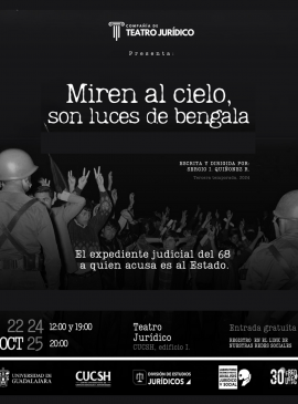 Cartel de la Obra de teatro: Miren al cielo, son luces de bengala