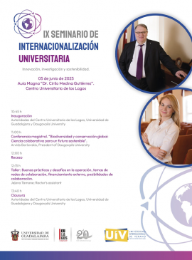 Cartel del IX Seminario de Internacionalización Universitaria Cartel del IX Seminario de Internacionalización Universitaria