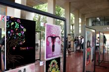 Carteles del CUAAD se van a la Bienal Calanca 2025, en Suiza