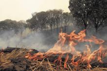 Jalisco, en “permanente peligro” ante incendios forestales