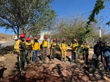 UdeG, Conafor y Semadet impulsan restauración del Cerro del Cuatro