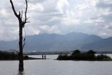 Suma CUSur más de dos décadas de investigación y protección del lago de Zapotlán