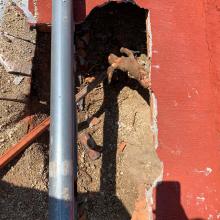 CUSur lleva a cabo la remodelación y reacondicionamiento de la Casa del Arte