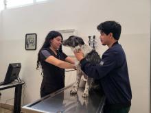 Impacta positivamente al Sur de Jalisco, Hospital Veterinario de Pequeñas y Grandes Especies del CUSur