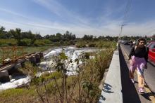 Estudio del CUCBA detecta daño al ADN en personas expuestas a sustancias tóxicas del Río Santiago