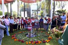 Promueve UdeG saberes ancestrales sobre alimentación y medicina tradicional en encuentro Raíces del sol