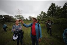 Invitan a segundo diplomado en Baños de bosque, una estrategia de salud pública y conservación ambiental