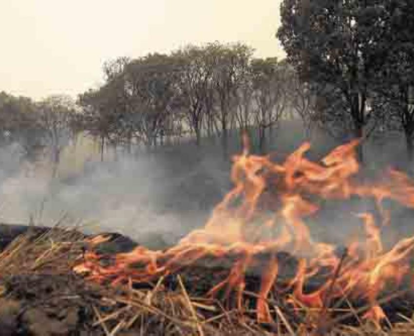 Pronostica especialista una “difícil” temporada de incendios en Jalisco este año