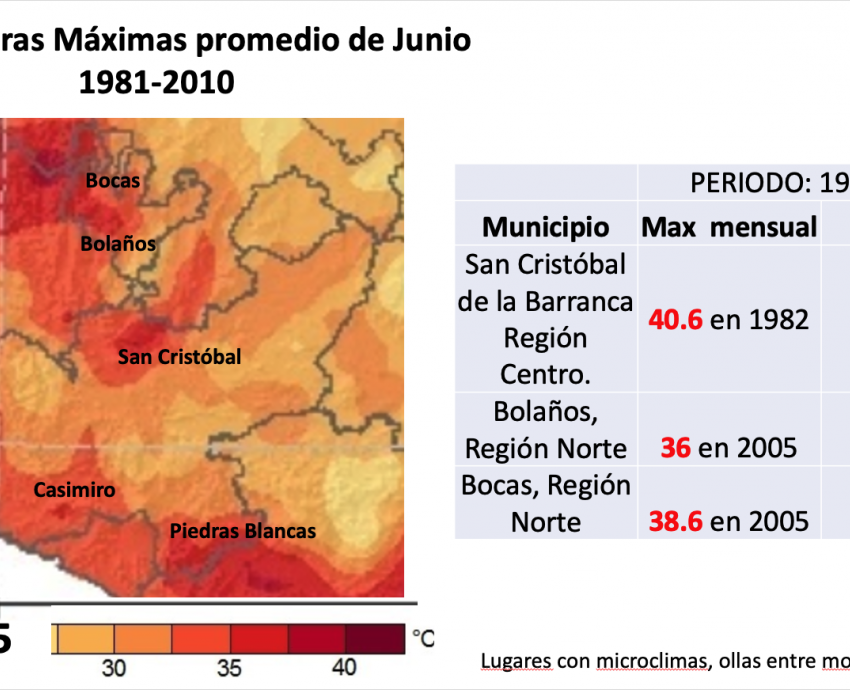 Hasta 80 por ciento de las personas con golpe de calor fallecen, advierten especialistas 