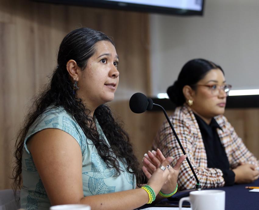 Encabeza Puerto Vallarta más casos sentenciados de violencia política contra mujeres