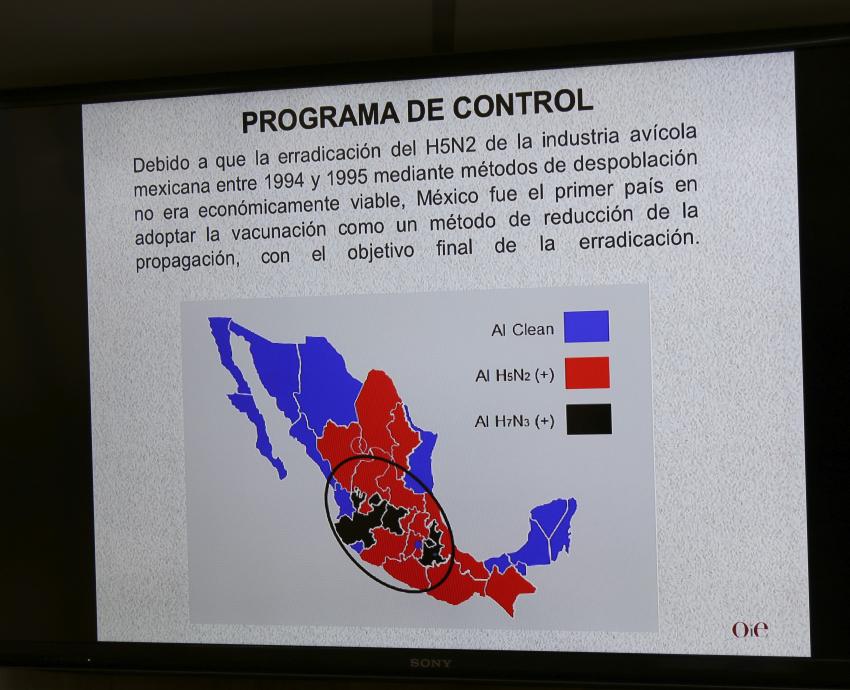 Jalisco está fortalecido frente a la gripe aviar