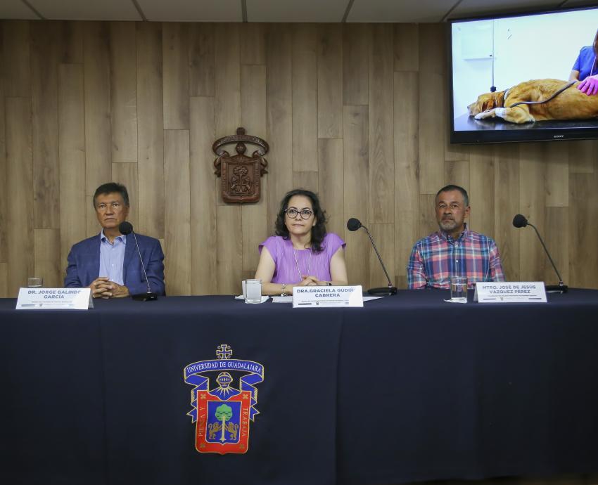 Atiende Hospital de Pequeñas Especies del CUCBA a hasta 40 pacientes al día
