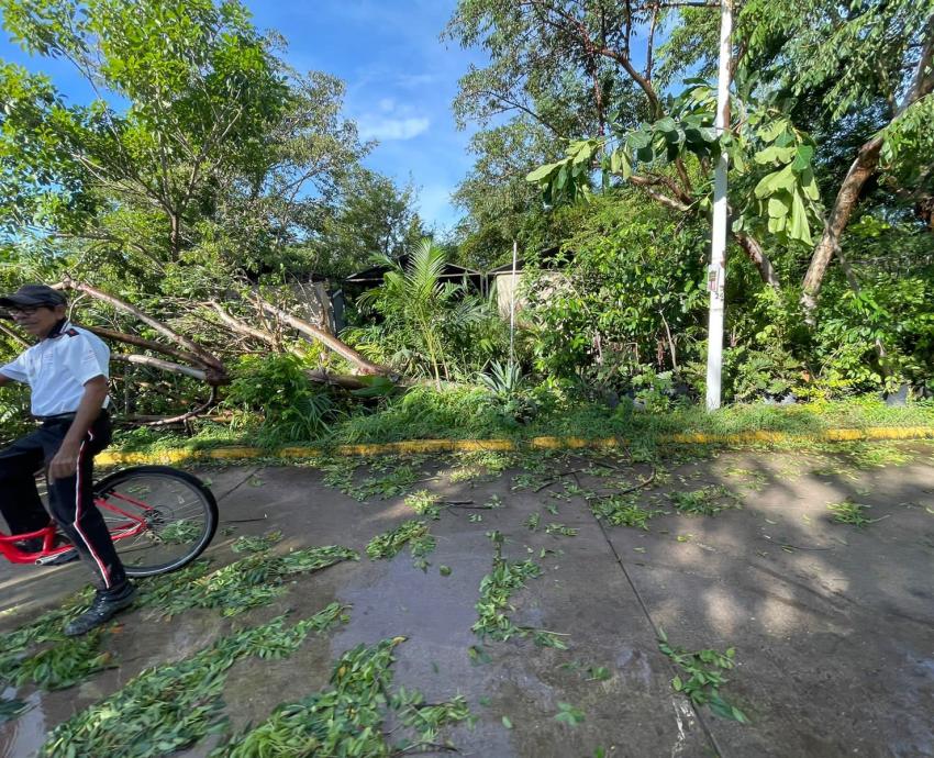 Sin afectaciones graves, planteles de la UdeG tras paso del huracán “Lidia”