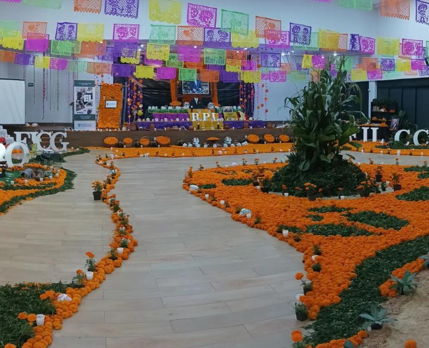 Crean altar de muertos con más de cinco mil flores de cempasúchil en CUCBA