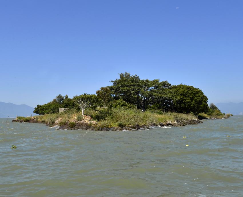 Disminuye la cantidad de agua del Lago de Chapala y aumenta su temperatura