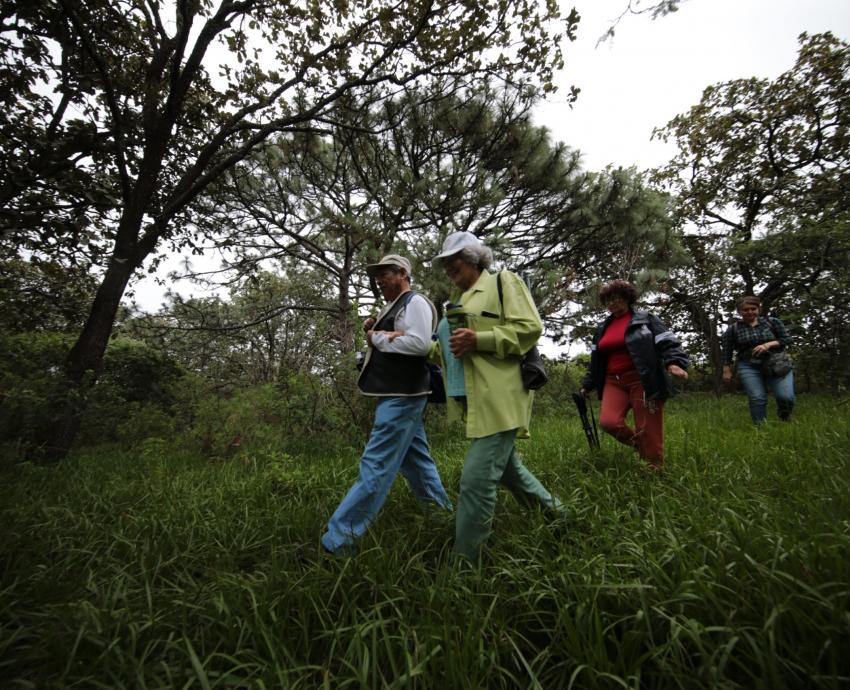 Reconoce Conahcyt al CUCSur por investigaciones en favor del medio ambiente