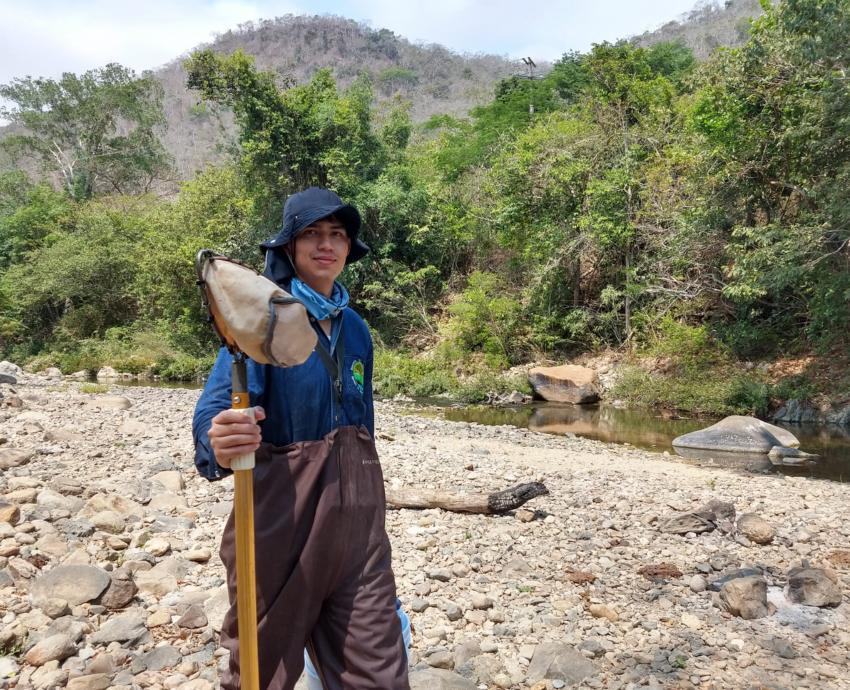 Estudian insectos para el rescate de ríos de la Costa Sur de Jalisco
