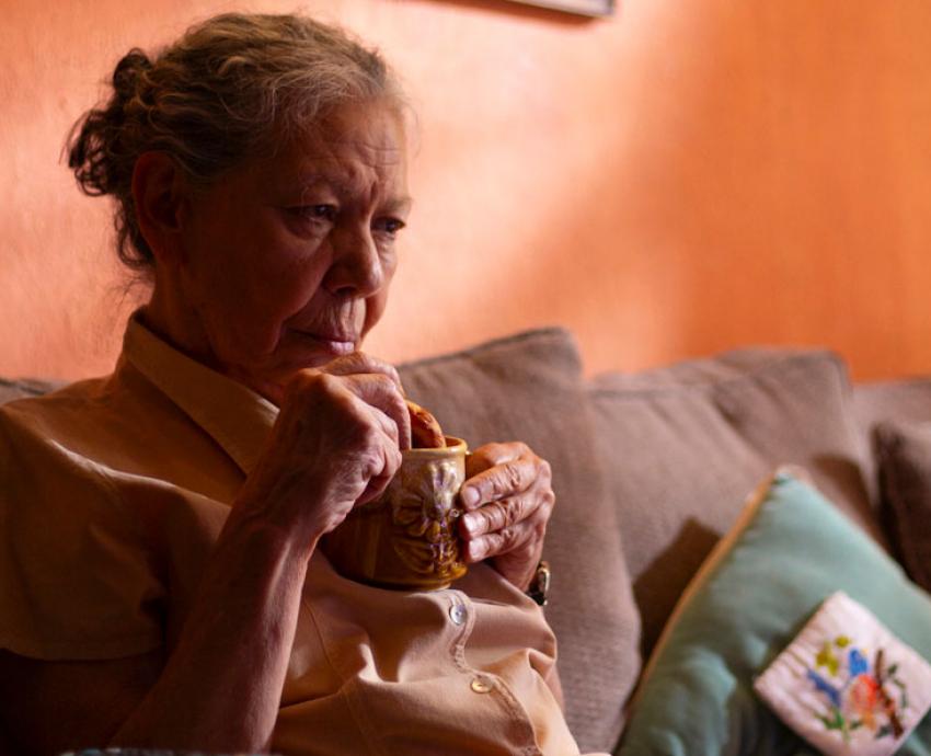 Cineastas del CUAAD nominados en los Premios Ariel 2024