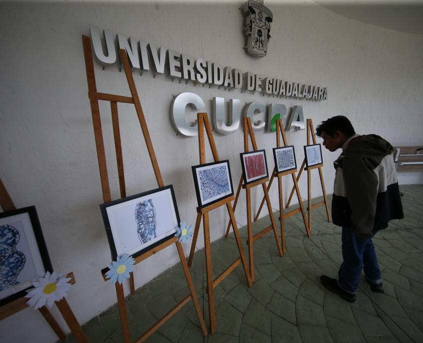Celebran 72 años de historia del Instituto de Botánica de la UdeG