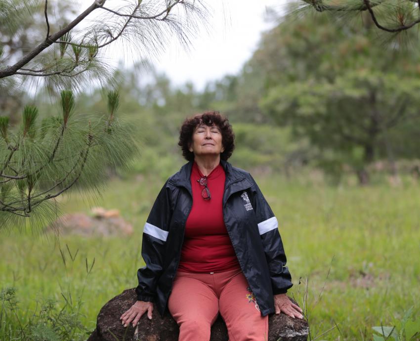 Baños de bosque ayudan a prevenir muertes por padecimientos cardiovasculares