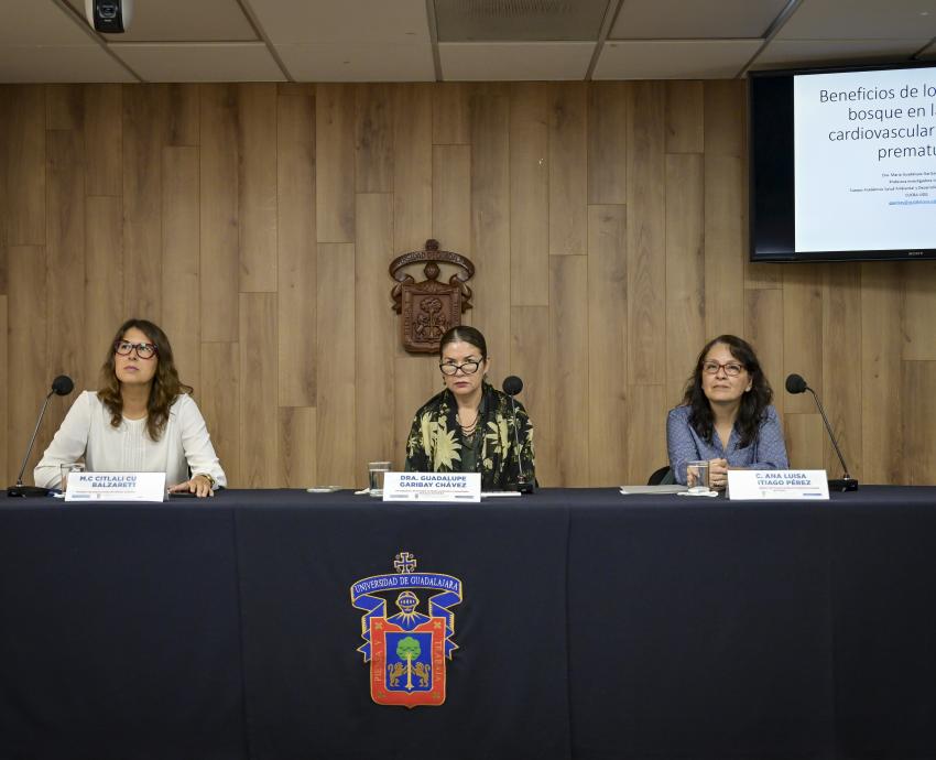 Baños de bosque ayudan a prevenir muertes por padecimientos cardiovasculares