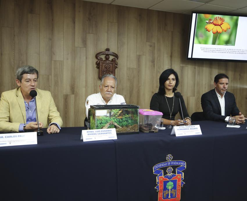 Vuelve la Colección Biológica Itinerante a la explanada de Rectoría General